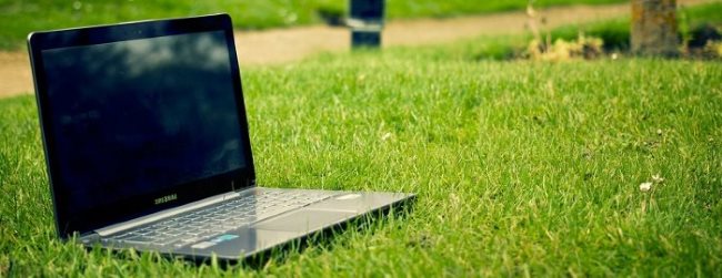 Heb jij affiniteit met tuinen en heb je een vlotte pen solliciteer dan op deze vacture Bloggen over tuinen